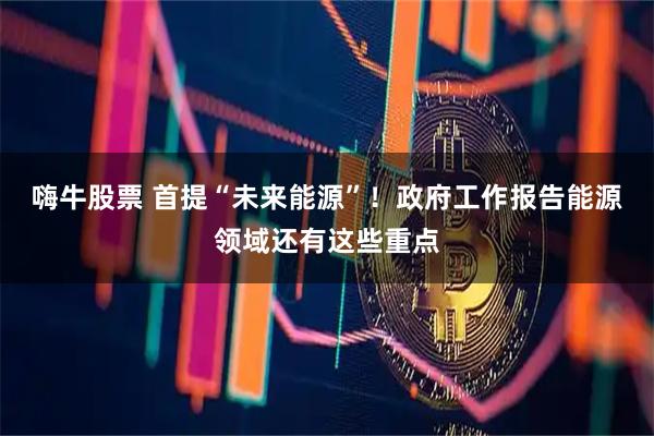 嗨牛股票 首提“未来能源”！政府工作报告能源领域还有这些重点