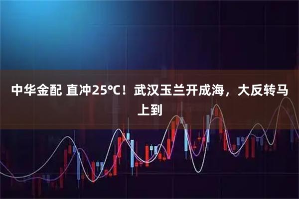 中华金配 直冲25℃！武汉玉兰开成海，大反转马上到