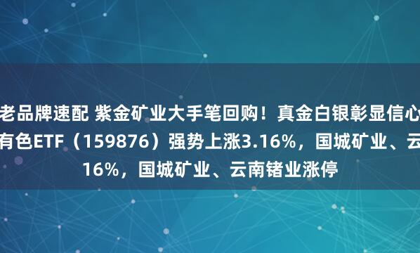 老品牌速配 紫金矿业大手笔回购！真金白银彰显信心！华宝基金有色ETF（159876）强势上涨3.16%，国城矿业、云南锗业涨停