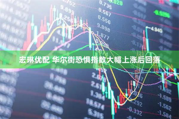 宏琳优配 华尔街恐惧指数大幅上涨后回落