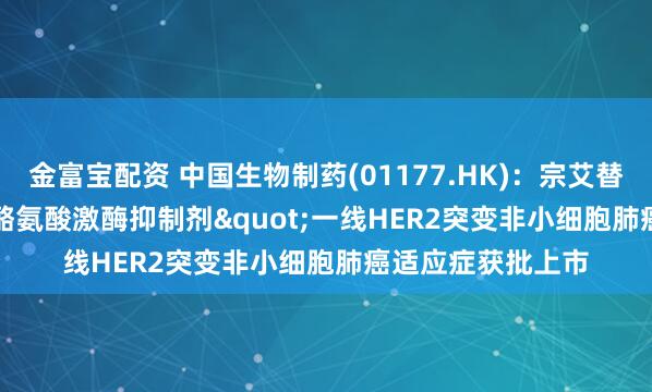金富宝配资 中国生物制药(01177.HK)：宗艾替尼"HER2酪氨酸激酶抑制剂"一线HER2突变非小细胞肺癌适应症获批上市