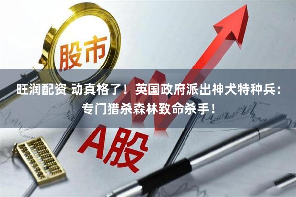 旺润配资 动真格了！英国政府派出神犬特种兵：专门猎杀森林致命杀手！