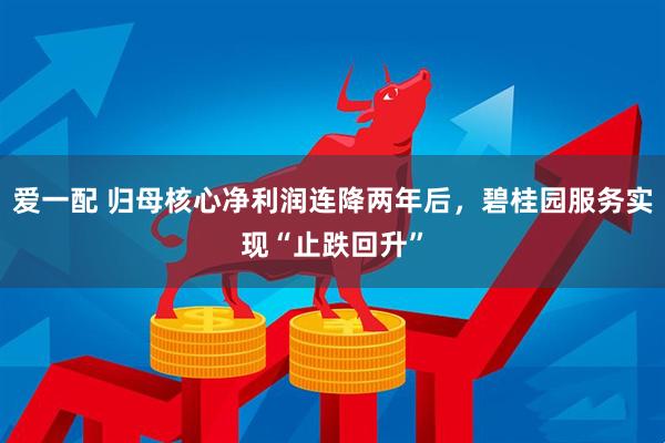 爱一配 归母核心净利润连降两年后，碧桂园服务实现“止跌回升”