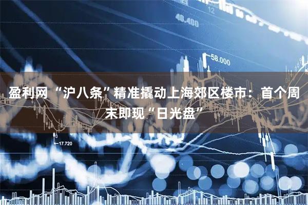 盈利网 “沪八条”精准撬动上海郊区楼市：首个周末即现“日光盘”